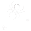 Happy Halloween Spiders