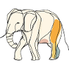 Éléphant