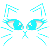 Cat Cats Kitten Cat Face