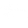 White Sloth Skull