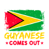 Proud Guyanese