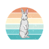 Lapin géant flamand Lapin Lapin