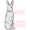 Lapin géant flamand Lapin Lapin