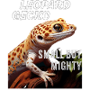 LEOPARD GECKO SMALL BUT MIGHTY