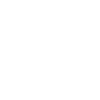 Bull Terrier Head