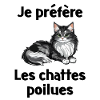 JE PREFERE LES CHATTES POILUES
