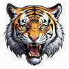 Tiger roaring in fury