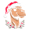 Camel Christmas
