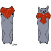 Cat Lover