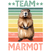 Marmotte