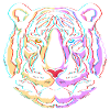White Tiger