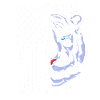 White Tiger