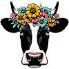 Vache