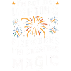 Pyrotechnie Feux d’artifice Pyrotechnie