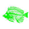 Glowing Fish Skeleton Design