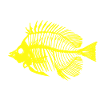 Poisson jaune fluo