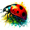 Ladybird