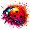Ladybird