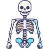 Skeleton Halloween