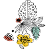 Autumn Flowers, Autumn