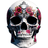 Crânes et Roses