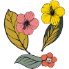 Autumn floral, Hibiscus