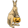 Citrouille d’Halloween Kangourou