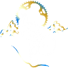 Motif MTB Downhill Bike