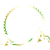 Motif MTB Downhill Bike