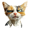 Crumpy Cat