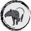 Schabrackentapir / Malayan Tapir II