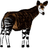 Okapi I