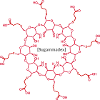 Sugammadex