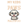 Maltipoo pappa