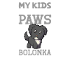 Bolonka Zwetna Papa
