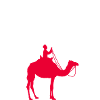Sousse Camel