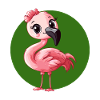 Flamingo Flamenco Rose