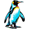 Pinguin