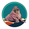 Walrus Marine Animals