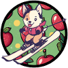 Ski ski bindings