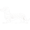 Dachshund Dachshund Silhouette Dog
