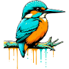 Kingfisher