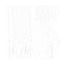White Tiger