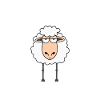 Humour Mouton Mêêêêêê