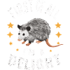 Opossum Possum Animal