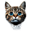 Cat Cat Mom Cat Mom Meow I Love Cats