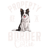 Border Collie Gifts