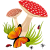 Champignons, Papillon