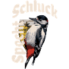 Schluckspecht