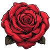 La rose des géants